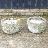A pair of weathered cast stone planters