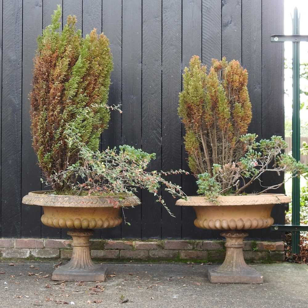 A pair of 19th century terracotta garden planters - Image 3 of 10