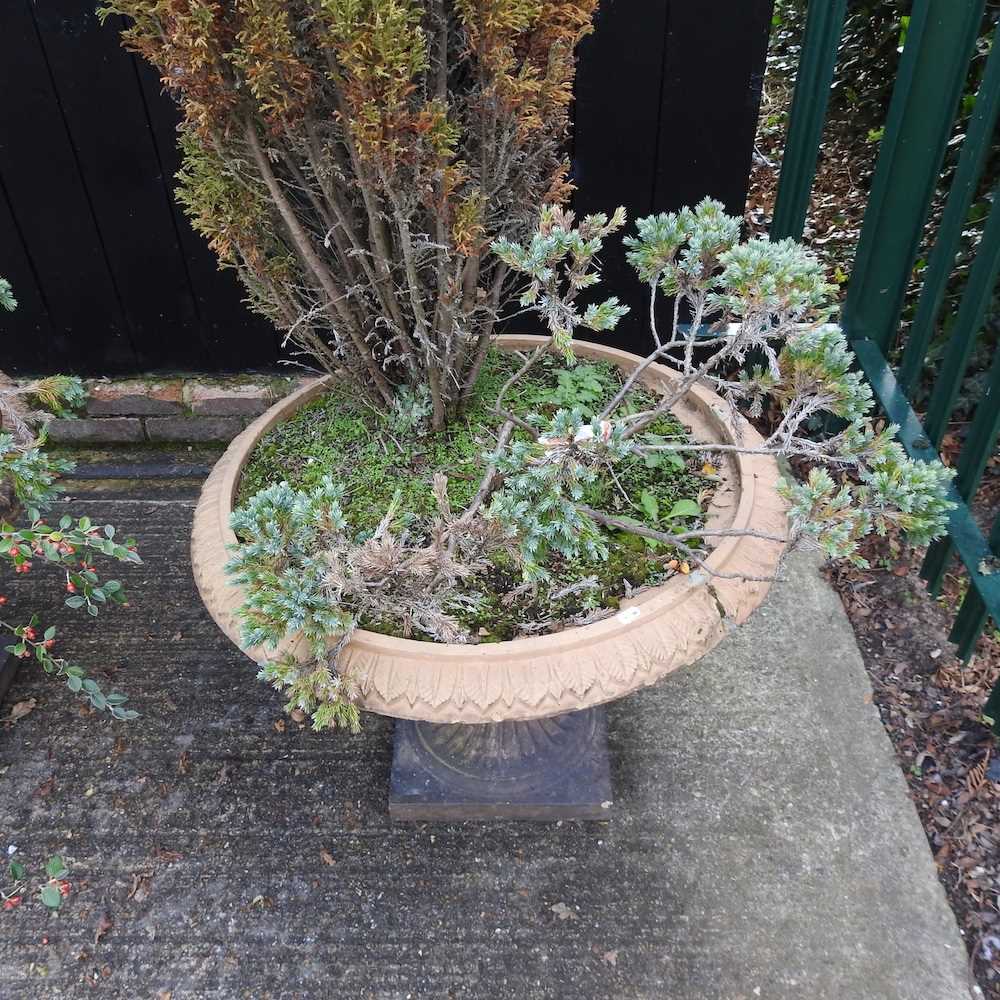 A pair of 19th century terracotta garden planters - Image 4 of 10