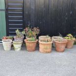 A collection of terracotta garden pots