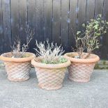 Three terracotta garden planters