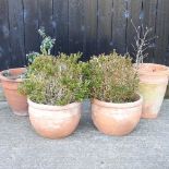 A pair of terracotta garden pots