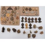 Varied Selection of Collar Badges including bronzed Lincolnshire ... Gilt, KC WRAC ... Gilt, QC WRAC