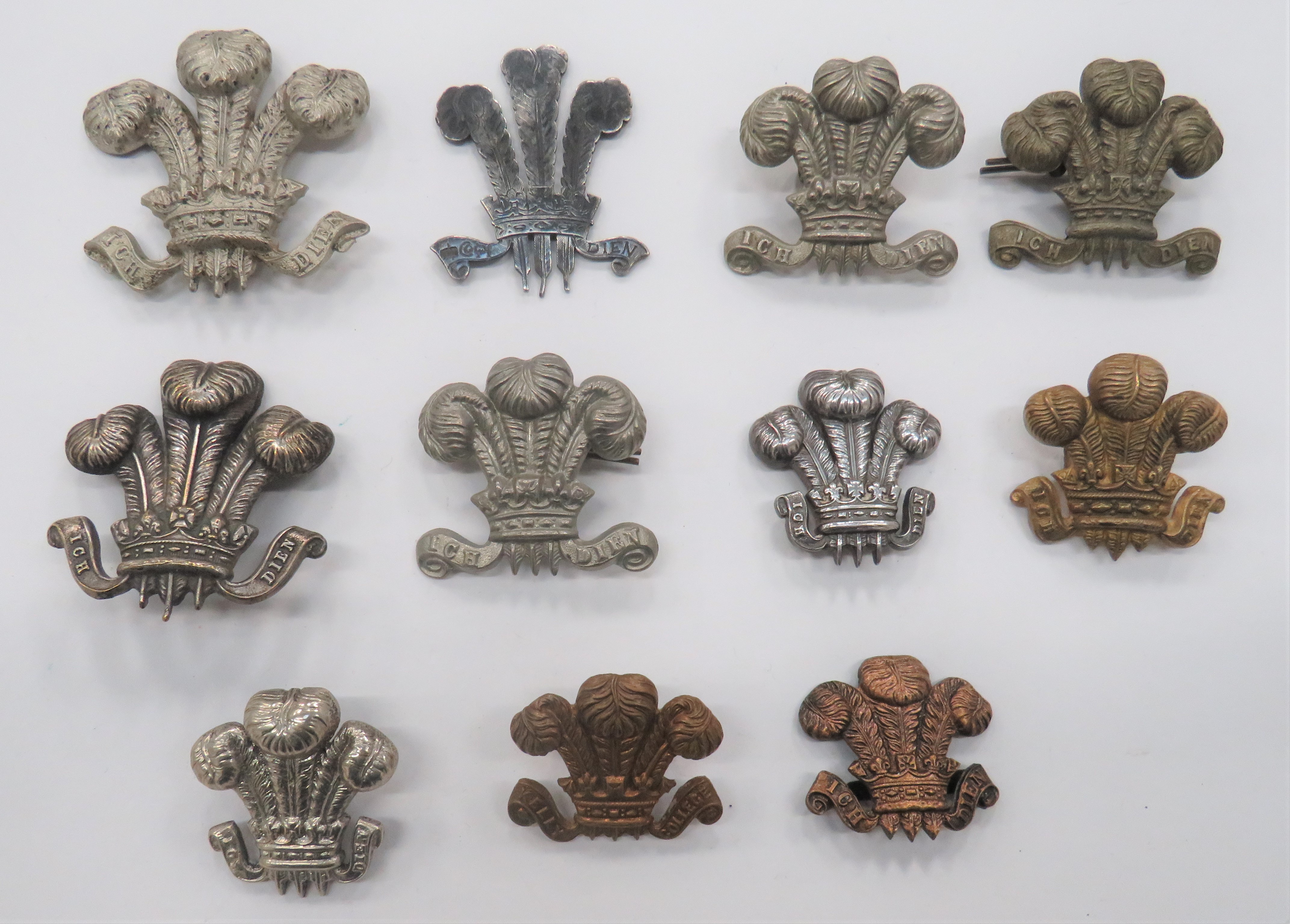 Good Selection of Prince of Wales Feather Badges including large, white metal, Prince of Wales