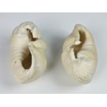 NATURAL HISTORY - Two Sperm Whale ear drums, the largest 5in. (12.8cm.) long. (2)