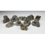 NATURAL HISTORY - An ammonite fossil group (10), comprising ten pieces, having single or multiple