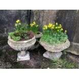 Three composite stone lobed pedestal garden planters, of similar design, each raised on square