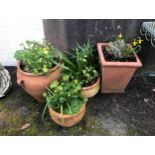 Four terracotta garden planters of varying forms. (4)