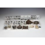 NATURAL HISTORY - A large collection of various fossils, to include a curled up Trilobite on matrix;