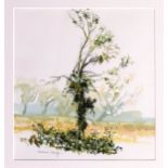 Norman Bailey (British, b.1945), Tree Study watercolour, signed in pencil lower left 12 x 11¼in. (