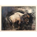 Matt Bruce (British, 1915-2000) , Study of a Bison Watercolour and body colour, signed "Matt