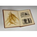 A Victorian botanical album 'Seaweeds', the brown leather and gilt album opening to reveal twenty