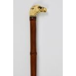A carved ivory topped eagle head walking cane, late 19th / early 20th century, the bamboo shaft with