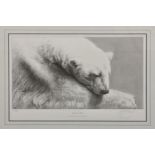 Gary Hodges (British, b.1954), 'The Snow Bear', limited edition monochrome print on laid paper,