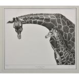 Gary Hodges (British, b.1954), 'Reticulated Giraffe with Young', limited edition monochrome print on