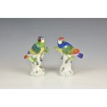 A pair of 20th century Meissen porcelain parrots, with colourful plumage and turned heads, perched