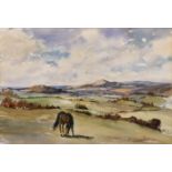 L. Firth (British, mid-20th century), A horse in an extensive lowlands landscape watercolour, signed