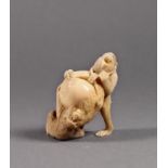 A Japanese carved ivory okimono, Meiji period (1868-1912), of two macaques fighting over a large