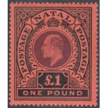 SOUTH AFRICA STAMPS 1908 EDVII Natal £1 purple and black/red lightly mounted mint SG 171 Cat £425