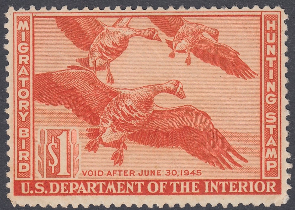 STAMPS USA HUNTING PERMITS, 1944 $1 red orange, White-fronted Geese, U/M, Scott RW11.