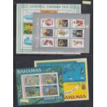 STAMPS BAHAMAS : QEII ex dealers stock on 10 pages including good sets and mini sheets
