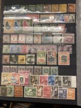 STAMPS : BRITISH COMMONWEALTH, stockbook full of mint & used with lots of useful stamps, sets etc.