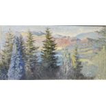 M Beresford-Williams: Impressionistic Lakeland landscape with fir trees, oil on board, signed, 70