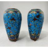 A Chinese pair of ovoid cloisonné vases, naturalistic decoration on blue ground raised on 3 angled