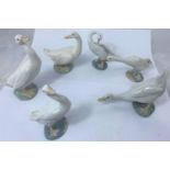 A gaggle of 3 Lladro geese and 3 Nao geese