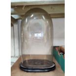 A Victorian glass dome, 38 x 21 cm