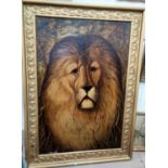 J M Barratt: Head and shoulders portrait of morose lion, oil on canvas, signed, 120 x 84 cm, framed