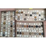 A collection of late 19th/ early 20th century microscope slides, to include young oysters from