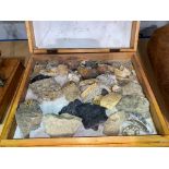 A wooden box containing rock specimens