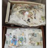 A World collection of stamps in albums and loose