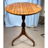 An Edwardian satinwood occasional table with painted floral decoration, circular top on pedestal