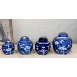 Four Chinese blue and white graduating ginger jars all with prunis blossum decoration (one lid a.f)