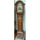 An early/mid 20th century burr walnut grandmother clock in the Georgian style, with brass dial and