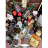 A selection of various miniature alcohol bottles