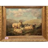 BRITISH 19th Century, oil on canvas, Moorland Scene with flock of sheep, 34 x 44cm, gilt framed.