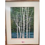 Fumio Fujita, 1933, Japan: colour woodblock print of silver birch trees, signed in pencil, dated