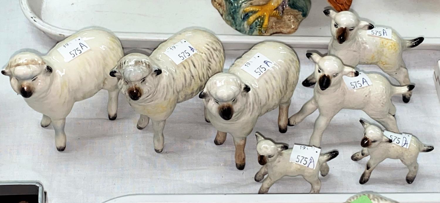 Seven various Beswick sheep, 3 x 935, 2 x 937 and 2 x 936