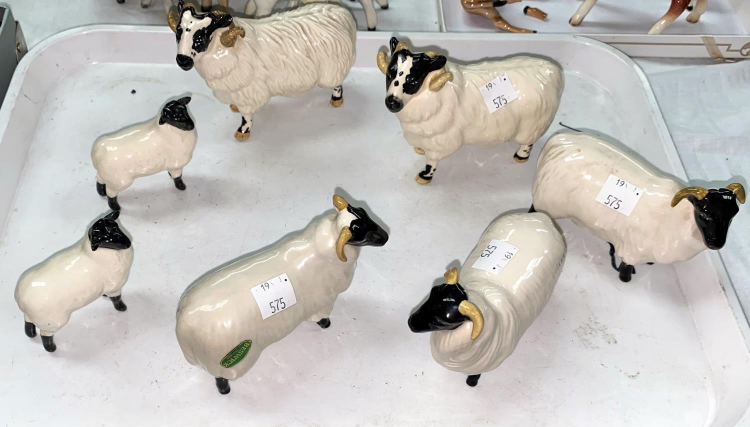 Three Beswick Black faced sheep 1765, and two black faced rams 3071 and two black face lambs 1828