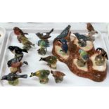 A Beswick bird stand and a large collection of Beswick birds (16)