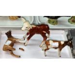 Three Beswick calves: Herefordsire calf brown and white 901, Ayrshire calf brown and white 1249