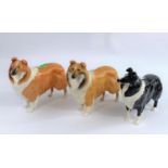 Three Beswick collie dogs: one brown and white, one black and white and one matt glazed, number:
