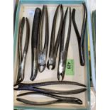 DENTISTRY - a group of 8 19th century extraction forceps including 2 examples by WOOD