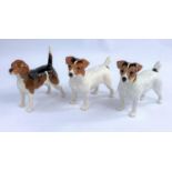 Three Beswick dogs, two Jack Russell Terrier 2023 and a Beagle, Wendover Billy 1933.