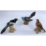 Three Beswick birds: Magpie 2305, Songthrush 2308 and Cuckoo 2315