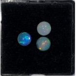 Three loose cabochon cut opals weighing 2.48cts