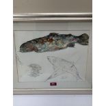 E. CRESSWELL. BRITISH 20TH CENTURY Studies of rainbow trout. Signed and dated '95. Pencil and